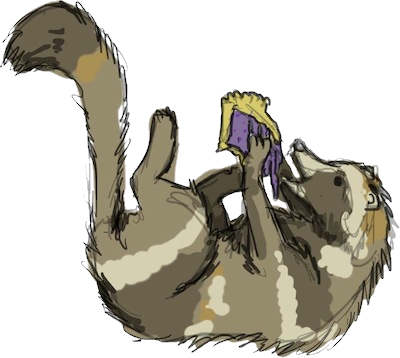 A *tanuki*, or racoon-dog, with its prize.